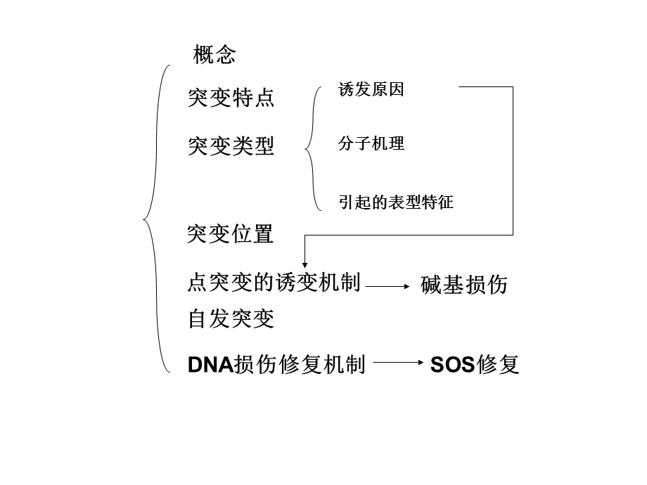 《基因突变等等》PPT课件.ppt_第3页