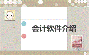 《会计软件编辑》PPT课件.ppt