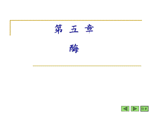 中药chapter 5 enzyme.ppt