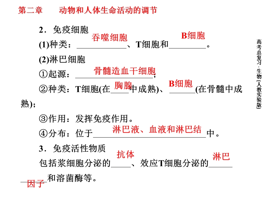 《复习免疫调节》PPT课件.ppt_第3页