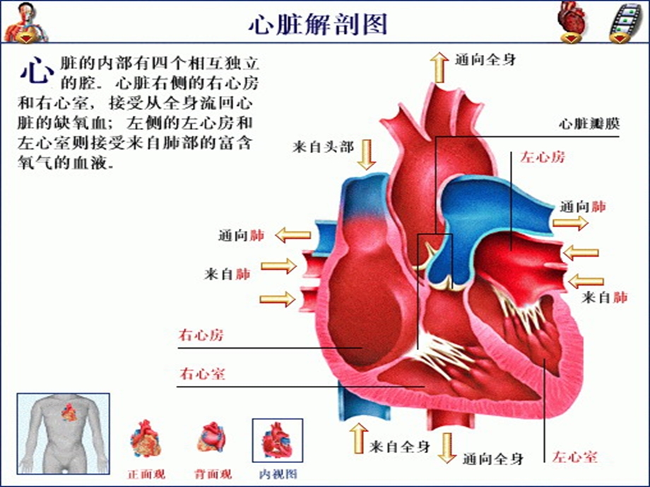 《心脏黏液瘤》PPT课件.ppt_第2页