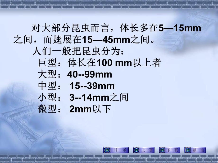 《外部形态头部》PPT课件.ppt_第3页