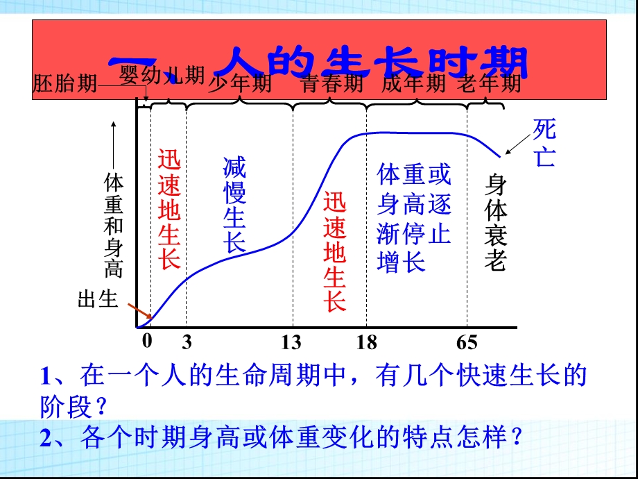 《人的生长时期》PPT课件.ppt_第2页