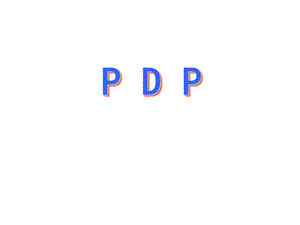 《PDP性格分析》PPT课件.ppt