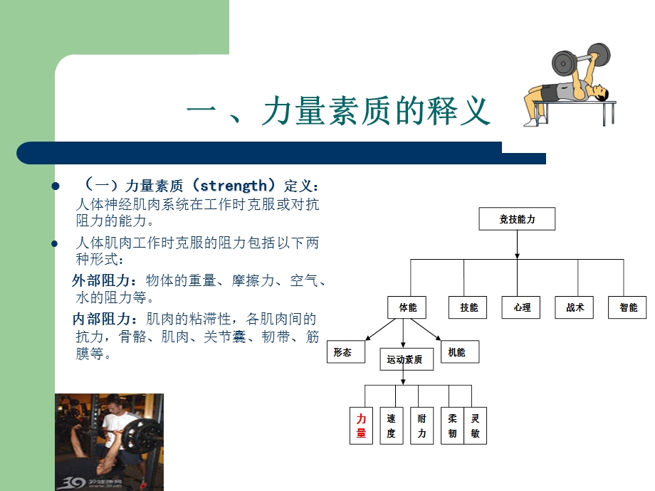 《力量素质及其训练》PPT课件.ppt_第3页