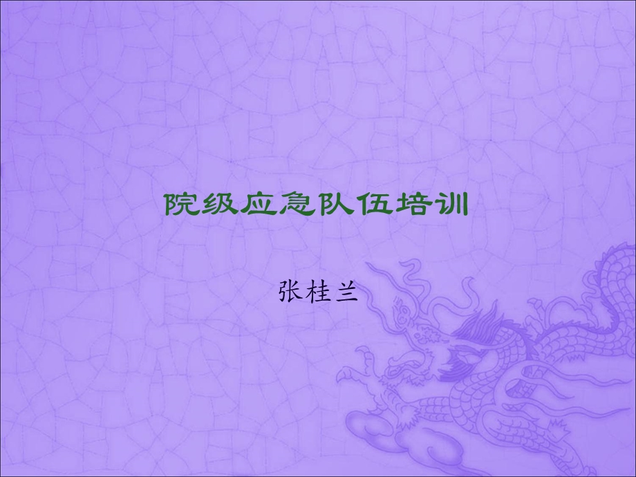 《应急队员培训》PPT课件.ppt_第1页