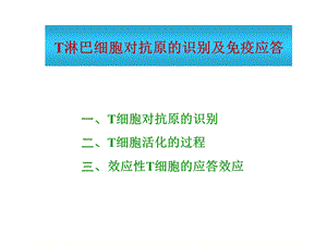 《T细胞免疫》PPT课件.ppt