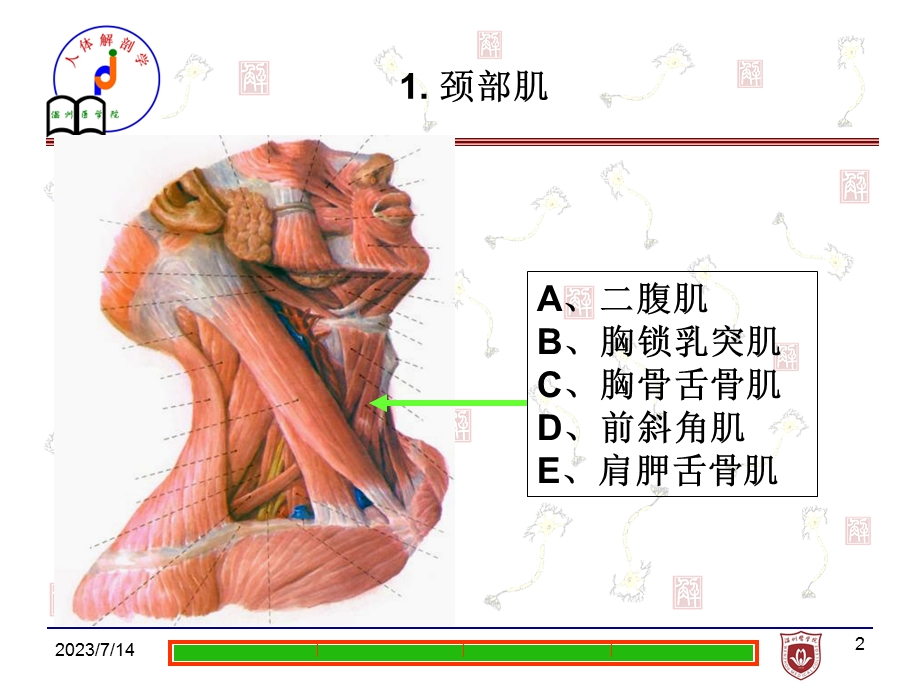 《局解实验》PPT课件.ppt_第2页