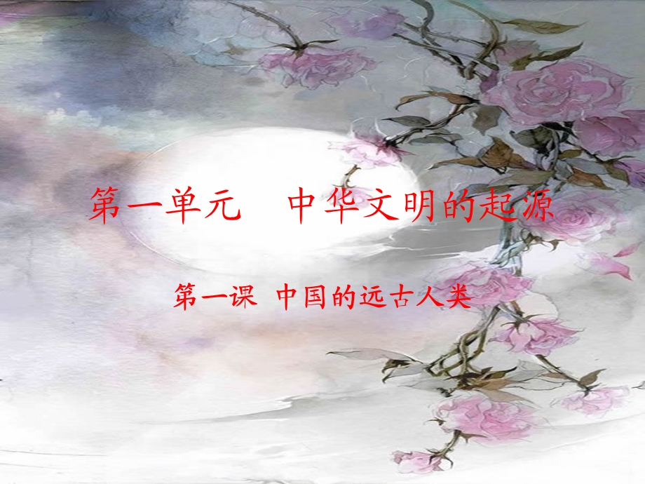 《中华远古人类》PPT课件.ppt_第2页