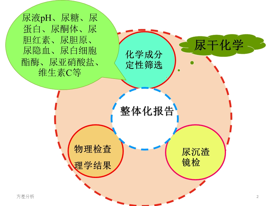 《尿液常规解析》PPT课件.ppt_第2页