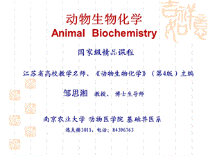 《动物生物化学》PPT课件.ppt