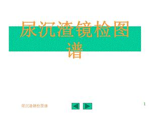 《实验诊断学》PPT课件.ppt