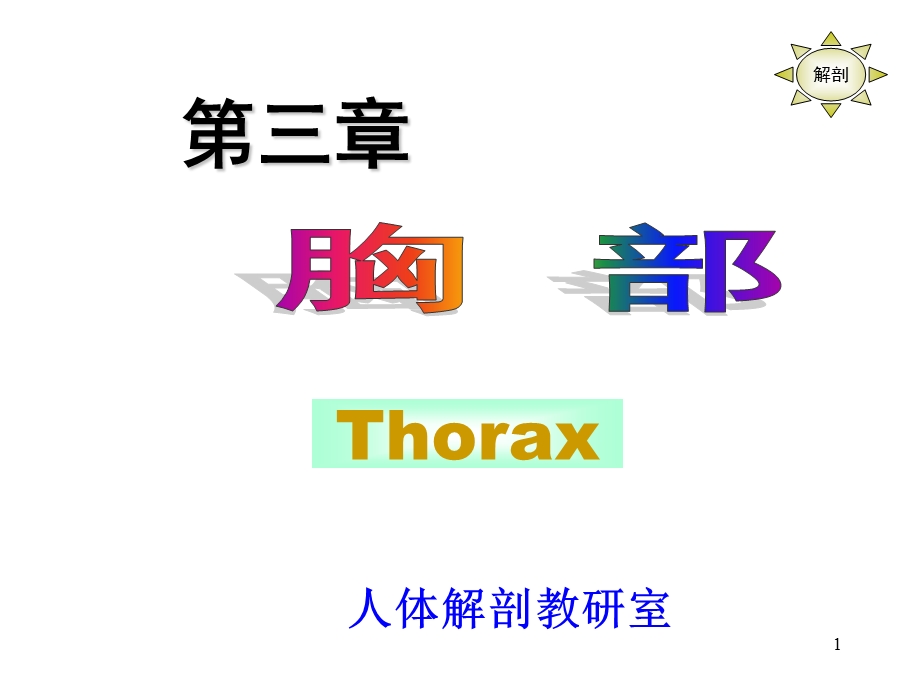 《局部解剖学胸部》PPT课件.ppt_第1页