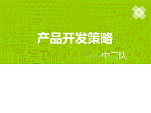 《产品开发策略》PPT课件.ppt