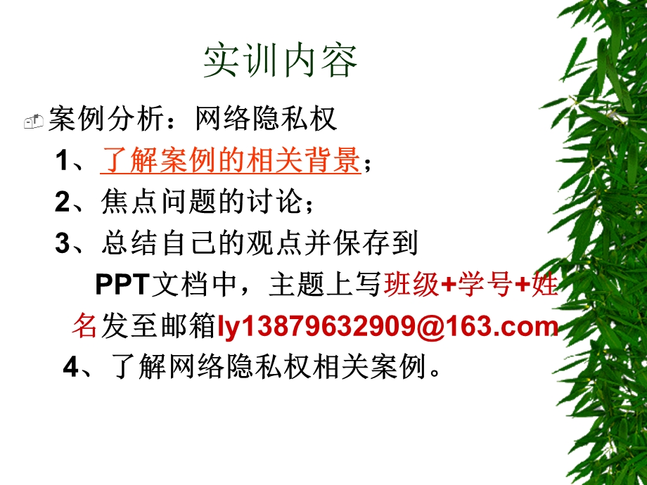 网络隐私权上机实训.ppt_第2页