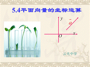 《向量坐标运算》PPT课件.ppt