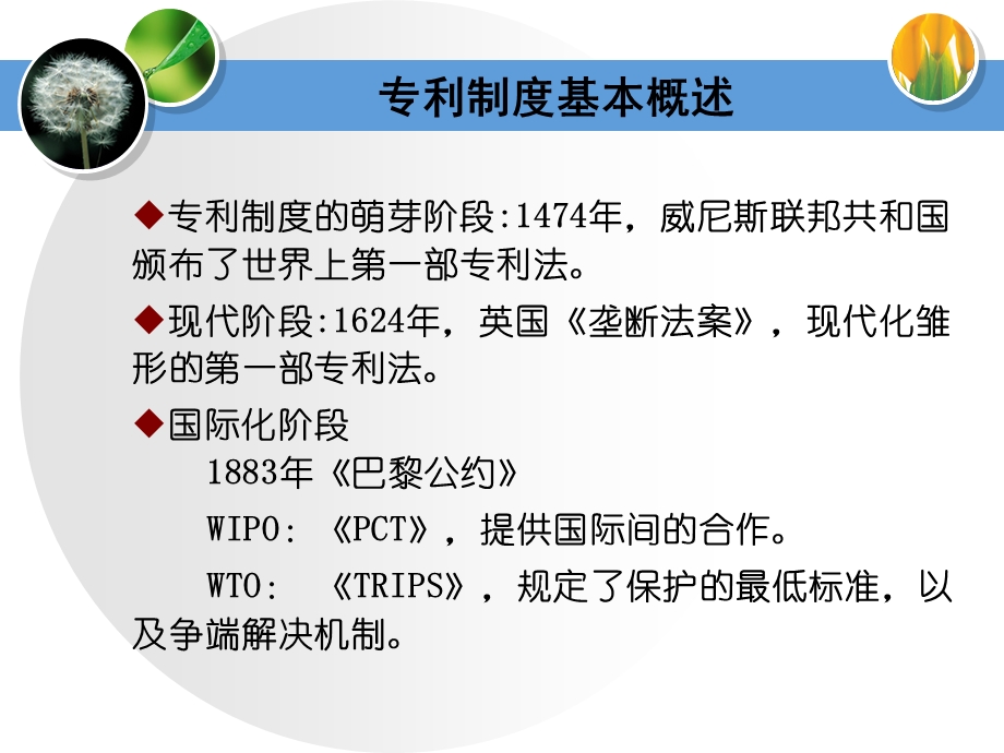 《专利知识普及》PPT课件.ppt_第3页