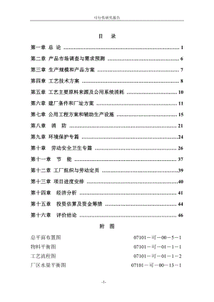 l2000t a阳甲基异丙基酮项目可行性研究报告.doc