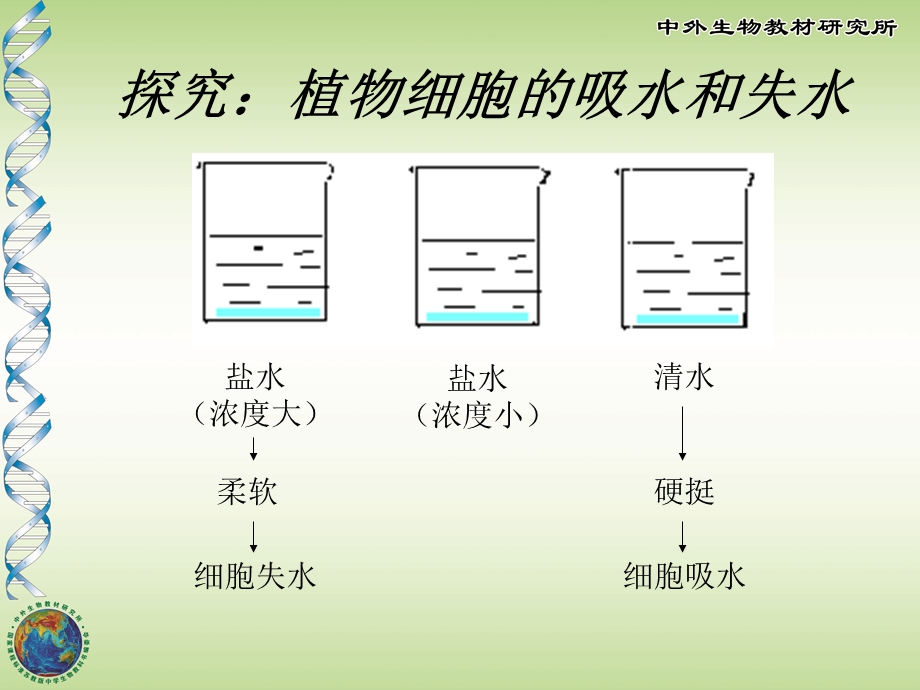 植物生长需要水和无机盐.ppt.ppt_第3页