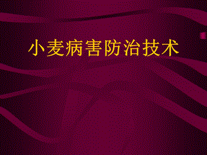 《小麦病害防治技术》PPT课件.ppt