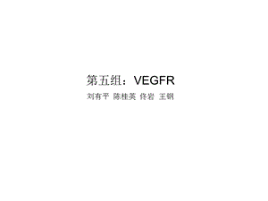 五组VEGFR刘有平陈桂英佟岩王钢.ppt