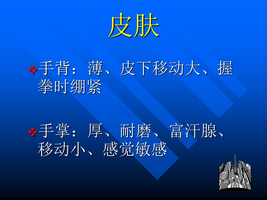 《手部解剖特点》PPT课件.ppt_第2页