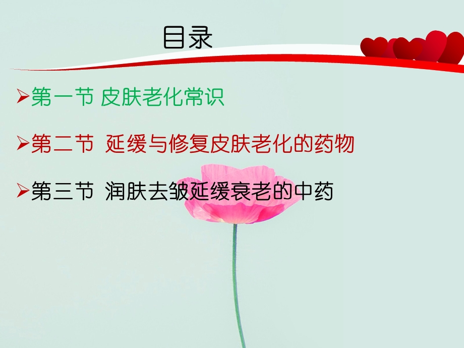 《延缓皮肤衰老药》PPT课件.ppt_第3页