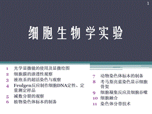 实验1光学显微镜的使用及显微绘图.ppt