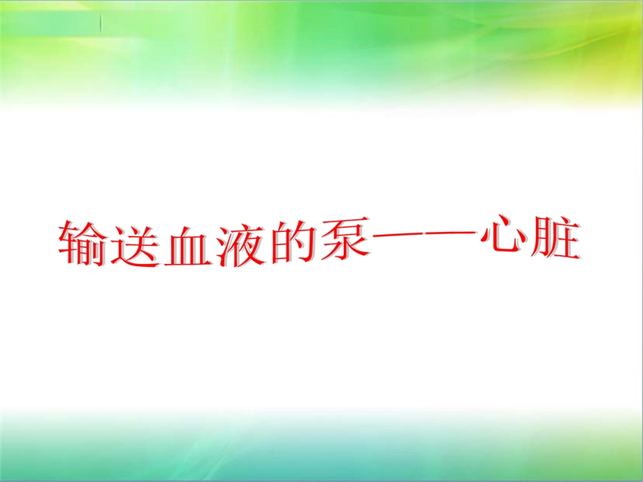 《初中生物心脏》PPT课件.ppt_第3页