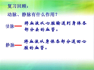 《初中生物心脏》PPT课件.ppt