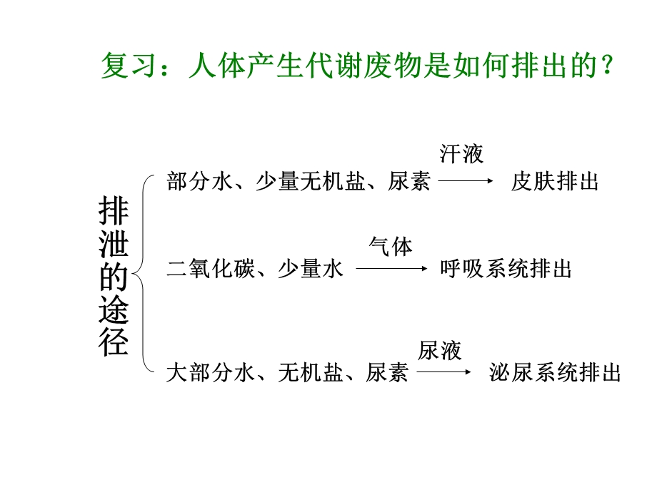 《人粪尿的排出》PPT课件.ppt_第2页