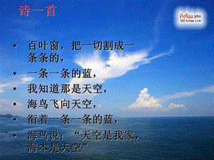 《我爱大海》PPT课件.ppt