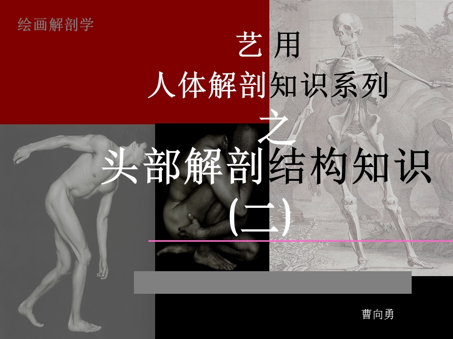 《头部解剖结构》PPT课件.ppt_第3页