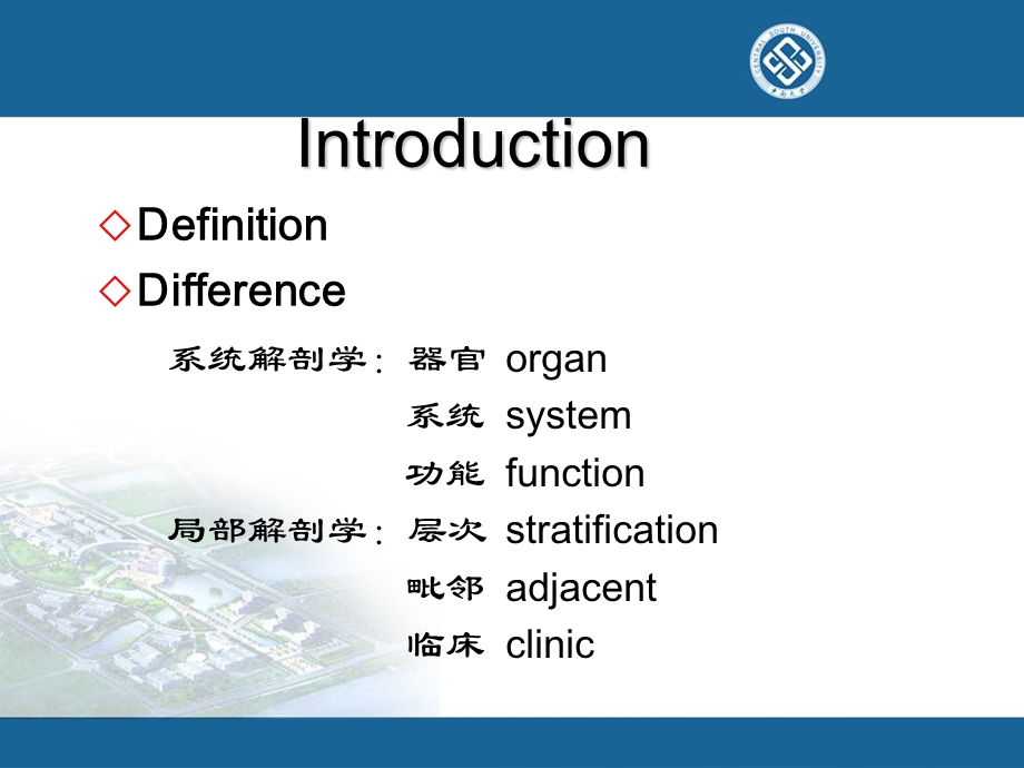 《局解头部》PPT课件.ppt_第3页