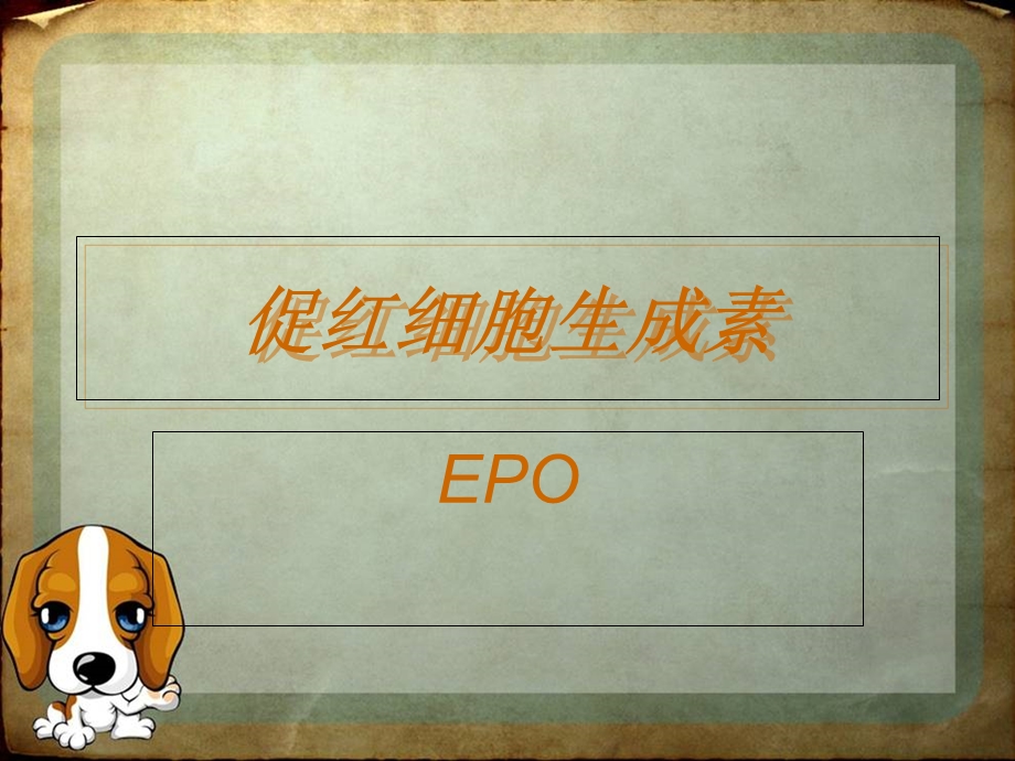 《促红细胞生成素》PPT课件.ppt_第1页