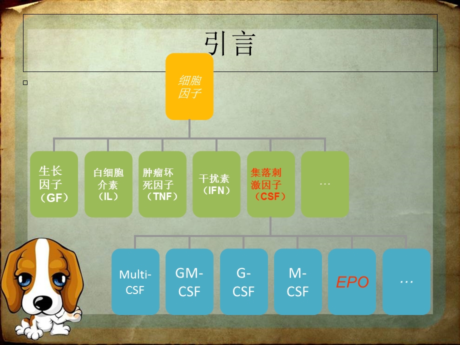 《促红细胞生成素》PPT课件.ppt_第2页