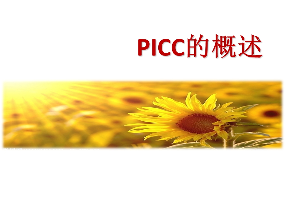 《picc置管护理》PPT课件.ppt_第3页