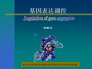 《基因表达控制》PPT课件.ppt