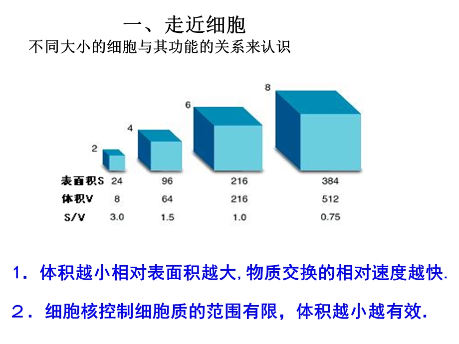 细胞结构与功能相统一.ppt_第2页