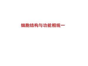 细胞结构与功能相统一.ppt