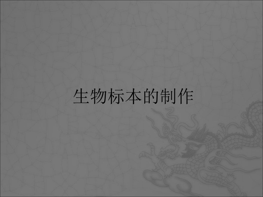 《动物标本的制作》PPT课件.ppt_第1页