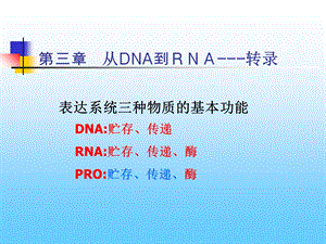 《RNA的转录》PPT课件.ppt