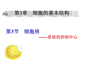 细胞核ppt课件.ppt