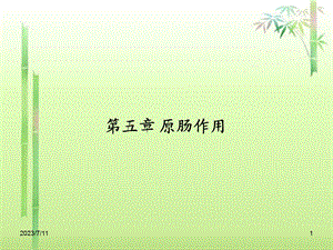 《原肠作用》PPT课件.ppt