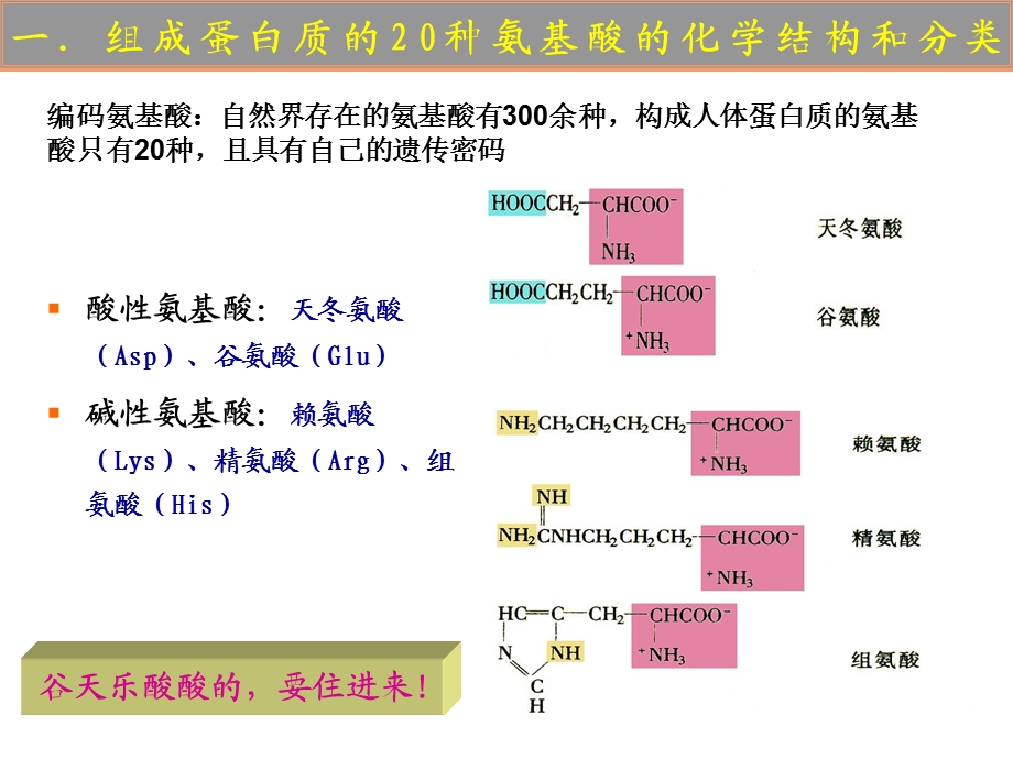 生化讲课稿.ppt_第2页