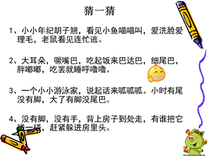 《我喜欢的动物》PPT课件.ppt