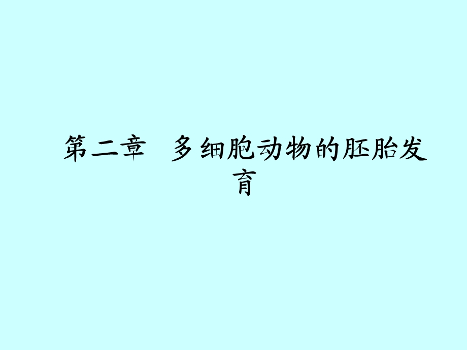 《多细胞动物概论》PPT课件.ppt_第1页