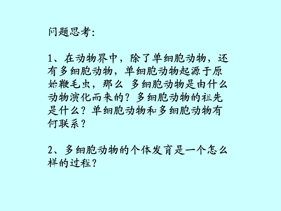 《多细胞动物概论》PPT课件.ppt_第3页