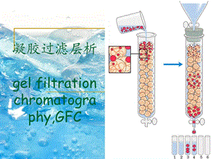 《凝胶过滤层析》PPT课件.ppt