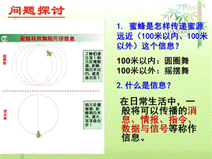 《信息传递》PPT课件.ppt